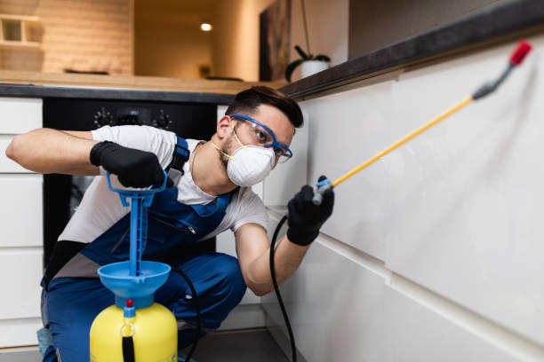 Best Termite Control Services  in Seven Oaks, SC