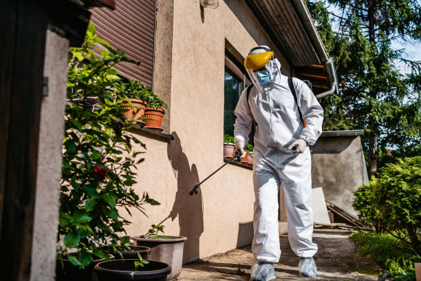 Best Emergency Pest Control  in Seven Oaks, SC