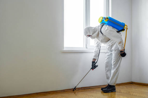 Pest Prevention Services in Seven Oaks, SC