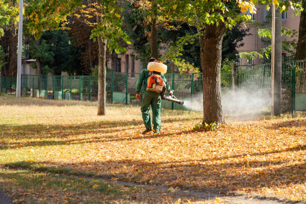 Professional Pest Control in Seven Oaks, SC